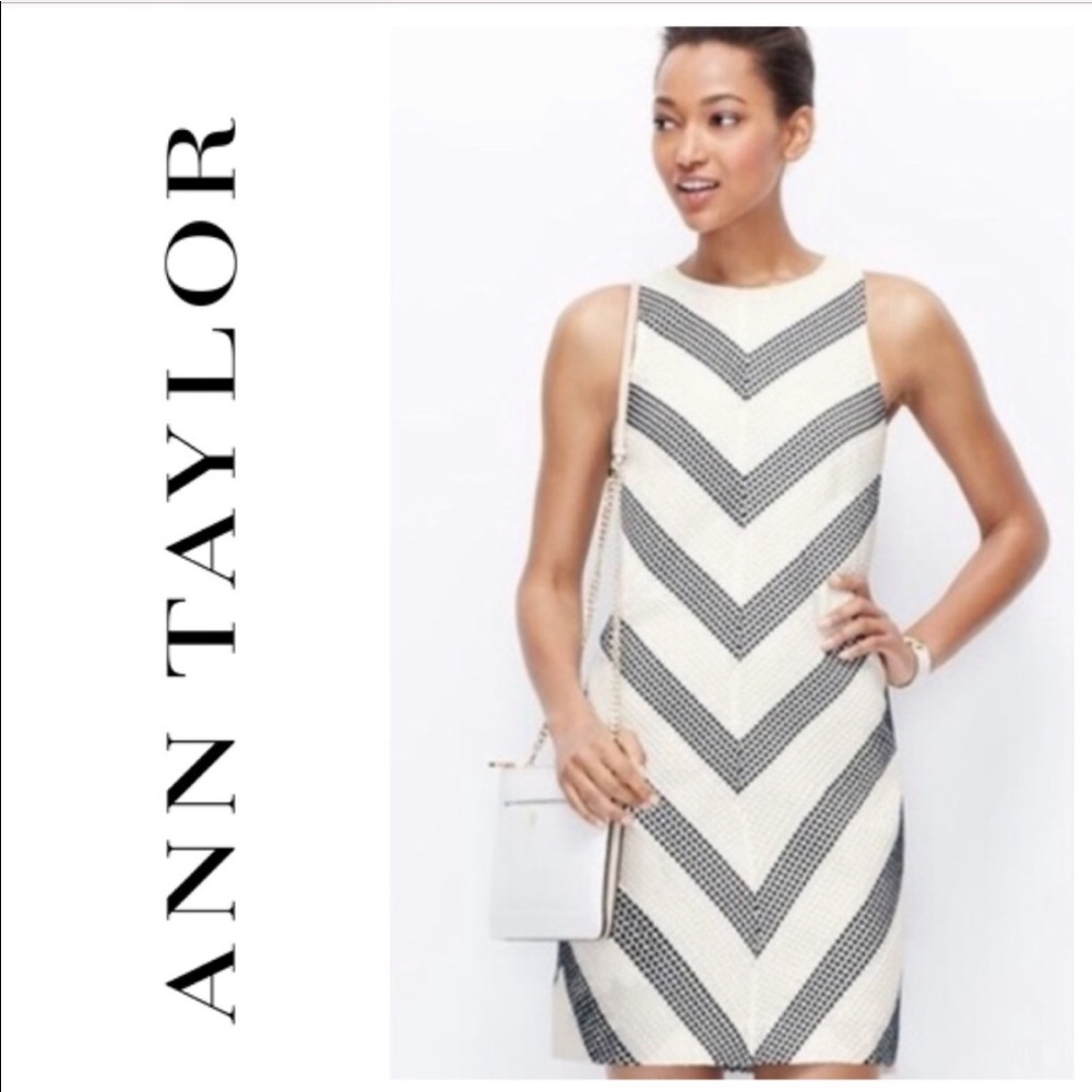 Ann Taylor Navy and White Embroidered Shift Dress